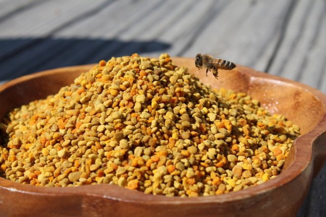 Amrutha Honey Bee Farming