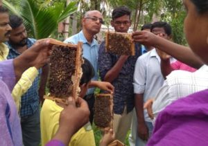 Amrutha Honey Bee Training