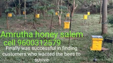 Amrutha Honey Bee Farming